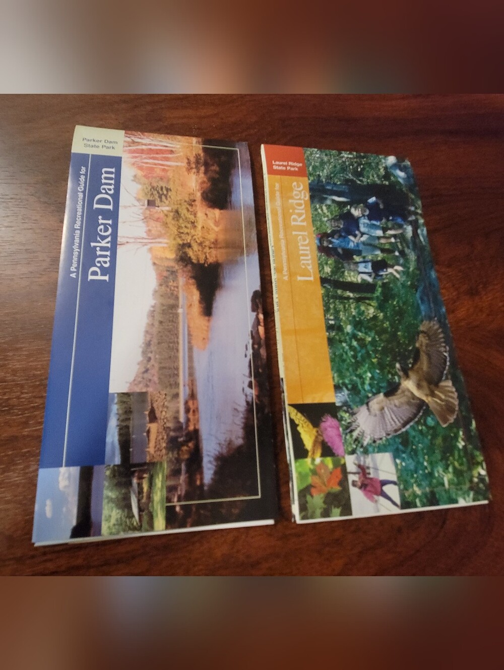 Pair of Pennsylvania DCNR State Park Recreation Guide Maps